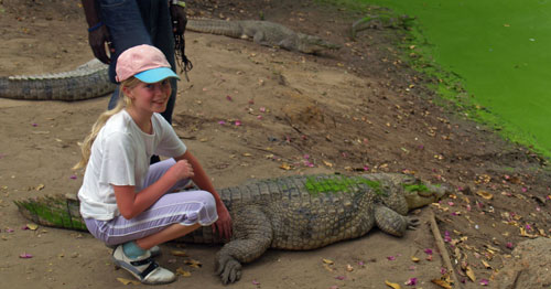 Rachel Brockbank with crocodile in Banjul