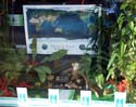 01_display_in_Otley_Library_Window